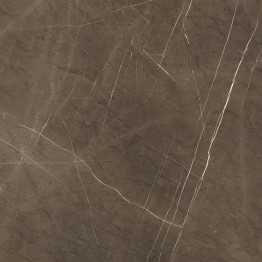 PPI70820
